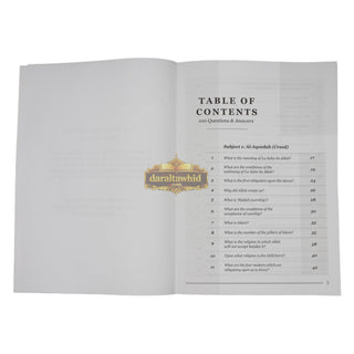 100 Questions and Answers in Belief,Biography and Remembrance Workbook