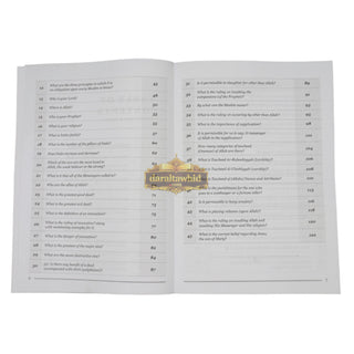 100 Questions and Answers in Belief,Biography and Remembrance Workbook