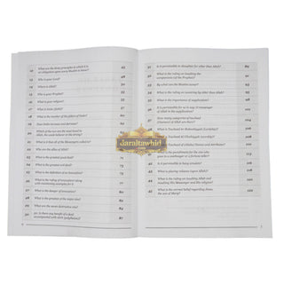 100 Questions and Answers in Belief,Biography and Remembrance Workbook