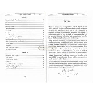 A Man and a Horse By Sami Ayoub