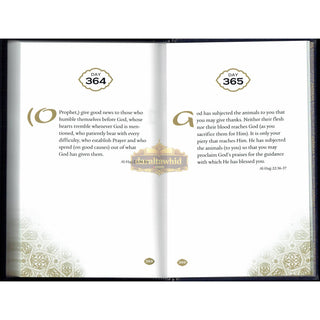 Daily Wisdom Selections from the Holy Quran By Abdur Raheem Kidwai
