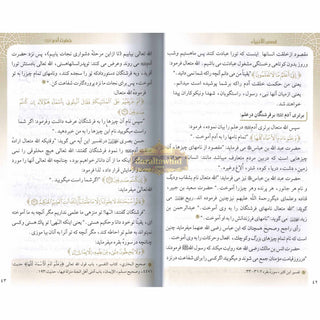 Farsi: Qisas-ul-Ambiya,Stories of the Prophets Persian Language By Hafiz Ibn Katheer