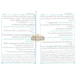 Fiqha Kitaab-O-Sunnat (Urdu Language) By Muhammad Subhi bin Hassan Hallaq