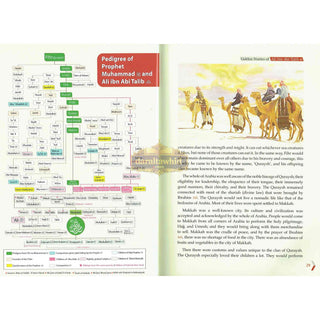 Golden Stories of Ali Bin Abi Talib By Abdul Malik Mujahid