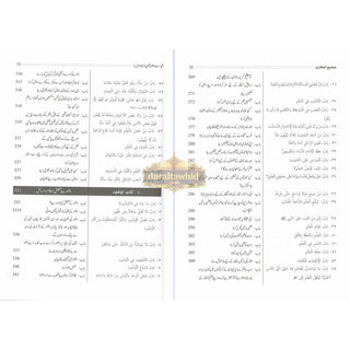 Hedayatul Qari Sharah Sahih Al-Bukhari (10 Vol Set) Urdu Language