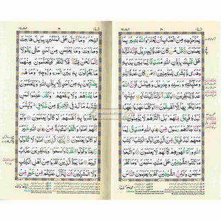 Holy Quran Colour Coded Tajweed Quran,13 Lines-Tajweedi Quran Ref H-36