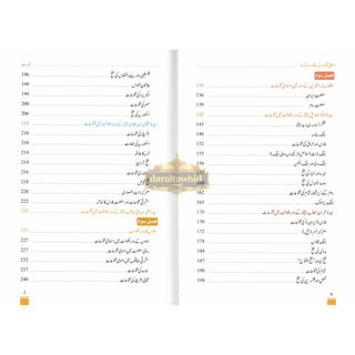 Islami Fatuhat ka Tabnak Dour(Urdu Language)اسلامی فتوحات کا تابناک دور