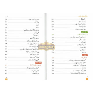 Islami Fatuhat ka Tabnak Dour(Urdu Language)اسلامی فتوحات کا تابناک دور