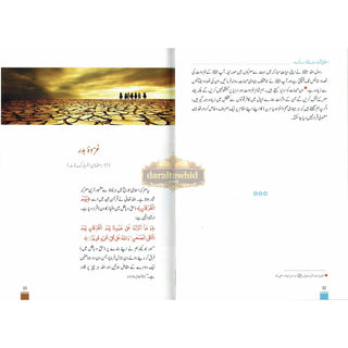 Islami Fatuhat ka Tabnak Dour(Urdu Language)اسلامی فتوحات کا تابناک دور