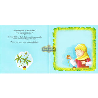 Lets Think About Allah,s Great Garden By Ali Gator,ISBN: 9781921772320