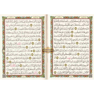 Quran in Uthmani Script Arabic Only 15 Lines Quran Pocket Plus
