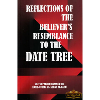 Reflections on the believers resemblance to the date tree