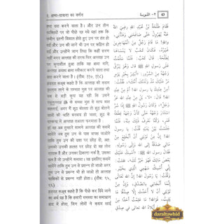Riyad us-Saliheen Hindi