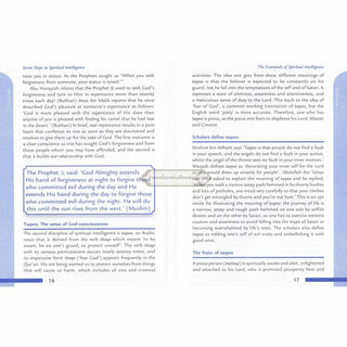 Seven Steps to Spiritual Intelligence by Musharraf Hussain