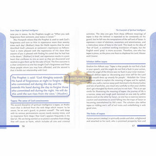 Seven Steps to Spiritual Intelligence by Musharraf Hussain