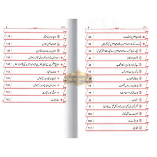 Shah Abdul Aziz Ibn Saud Ki Qiyadat O Siyasat Ke15 Rehnuma Usool (Urdu language)