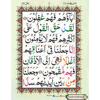 Surah Yaseen Tajweedi Large Font (7 Lines) (Size 10.7 x 8.5 inch) Ref 326A