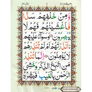 Surah Yaseen Tajweedi Large Font (7 Lines) (Size 10.7 x 8.5 inch) Ref 326A