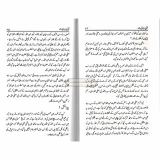 Tajalliyat-e- Nabuwat (Urdu Language) By Maulana Safi-Ur-Rehman Mubarakpuri