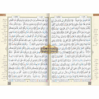 Tajweed Qur'an (Whole Qur'an, Qaloon Narration) Arabic Edition By Dar Al Marifah