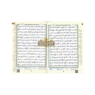 Tajweed Qur'an (Whole Qur'an, Warsh Narration) Arabic Edition By Dar Al-Ma'arifah (Medium Size 8.0 x 5.5 inch)