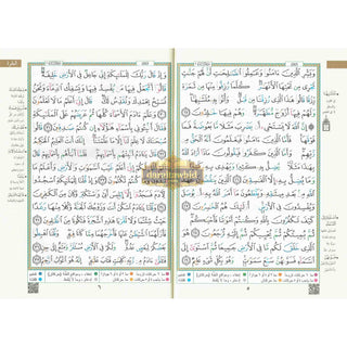 Tajweed Quran Surah Al-Baqarah (Arabic Only)