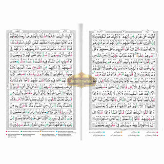 Tajweed Quran persian, Urdu & Southafrican Script with 15 Lines ( Ref 213)