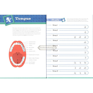 Tajweed Untangled By Learning Roots