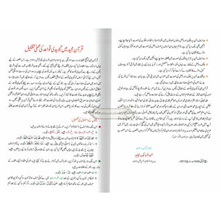 Tajweedi Quran with Urdu Tajweed Rules 16 Lines 8.5 x 6.0 Inch (7B) Hafzi Tajweedi, Medium Size,Standard Print