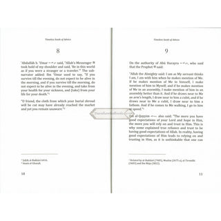 Timeless Seeds of Advice by B. B. Abdullah