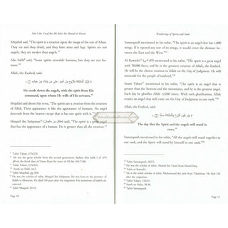 Wandering of Spirits and Souls by Shaykh Mart ibn Yusuf