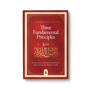 A Commentary on the Three Fundamental Principles